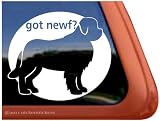 Got Newf? Newfoundland Dog Vinyl Window Decal Sticker