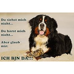 Metall - Warnschild Berner Sennenhund