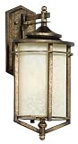 Quoizel BX8410DS Braxton 21-Inch Large Wall Lantern, Dark Silver Finish