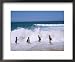 Children Playing in the Surf, Near Gosford, New South Wales, Australia Collections Fr...