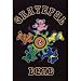 (24x36) Grateful Dead Dancing Bears POSTER RARE hippie NEW POT
