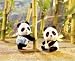 Calico Critters Wilder Panda Bear Twins