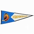 Atlanta Thrashers NHL "Classic" Pennant (17.5"x40.5")