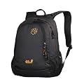 Jack Wolfskin Outdoor-Daypack Perfect Day, 22 Liter
