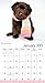 Rachael Hale Dogs Wall Calendar (2015)