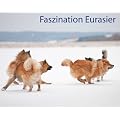 Faszination Eurasier: Fotobildband - Facetten einer wunderbaren Hunderasse