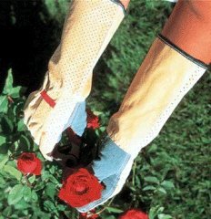 ローズガーデングローブ