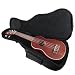Hola! Heavy Duty Soprano (21 Inch) Ukulele Gig Bag with 15mm Padding Hola! Heavy Duty Soprano (21 Inch) Ukulele Gig Bag with 15mm Padding