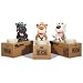 Sparb�chse The Hungry Hounds, versch. Farben