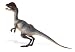 Wild Safari Dino: Dilophosaurus