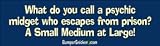 What do you call a psychic midget who escapes from prison - funny bumper stickers (Medium 10x2.8 in.)