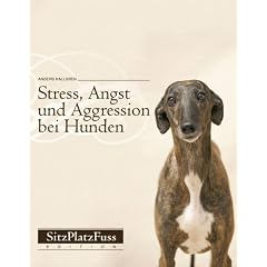 Stress, Angst und Aggression bei Hunden: Vorbeugen und abbauen