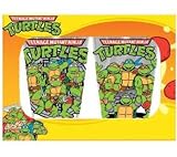 Teenage Mutant Ninja Turtles Glassware Set of 2 16oz Glasses
