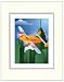 TykeStyle Airplane 8x10 Art Print