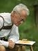 Ethologist Karl Von Frisch Testing the Ability of Bees to Perceive Color in His Home ...