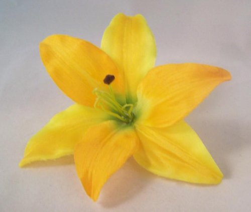 lilies flowers