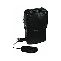 Voice Transformer