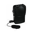 Voice Transformer