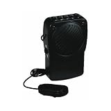 Voice Transformer