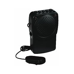 Voice Transformer