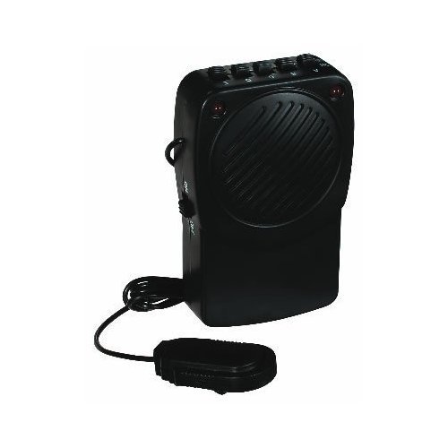 41eiPasNEiL. SL500  Voice Transformer