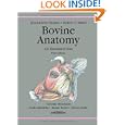 Bovine Anatomy: An Illustrated Text by Klaus-Dieter Budras, Robert E. Habel, and Anita Wunsche