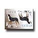 Greater Swiss Mountain Dog Dishwasher Magnet