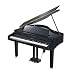 Cameron & Sons CSM-41D 4' 1'' EBHP Baby Grand Digital Piano, Polished Black