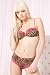 Ceriso Animal Print Padded Bra