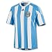 adidas Men's Argentina Home Jersey (Colum Blue, Small)