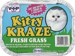 Kitty Kraze Fresh Grass