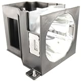 Panasonic ET-LAD7700W(Dual Lamps) OEM Projector Lamp Equivalent with Housing