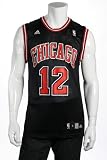 Adidas Kirk Hinrich Chicago Bulls Jersey, Size Small