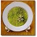 Stonecrop (Sedum album) growing on a moss-covered stone - 8 Inch Porcelain Plate