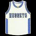 Denver Nuggets Team Jersey Pin