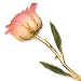 Long Stem Dipped 24k Gold Trim White Pink Rose In Gold Gift Box