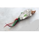 A-Door-Able Bouncing Bird Action Toy