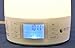 Good Morning (tm) Sunrise Wake-up Light Alarm Clock With Nature Sounds (with Halogen Light Bulb) Image #5