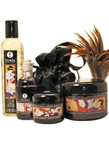 Shunga Carnal Pleasures