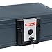 First Alert 2013F Fire and Water Chest, 0.17 Cubic Foot, Gray