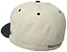 Burton Men's ADL New Era Hat
