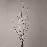 Everlasting Glow LED 39" Battery Operated Brown Wrapped Lighted Branch With 20 Warm White LED Lights
