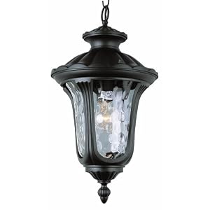 Trans Globe Lighting 5914 BK 20-Inch 1-Light Outdoor Large Hanging Lantern, Black by 