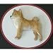 Jewelry : Shiba Inu Hand Painted Pin