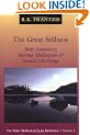 The Great Stillness: The Water Method of Taoist Meditation Series Volume 2