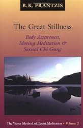 The Great Stillness: The Water Method of Taoist Meditation Series, Vol. 2