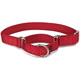 PetSafe Martingale Collar 1" Medium, Red