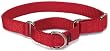 Premier Pet Collar Large 1-Inch, Red