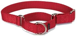 Premier Pet Collar Medium 1-Inch, Red