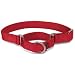 Premier Pet Collar Medium 1-Inch, Red